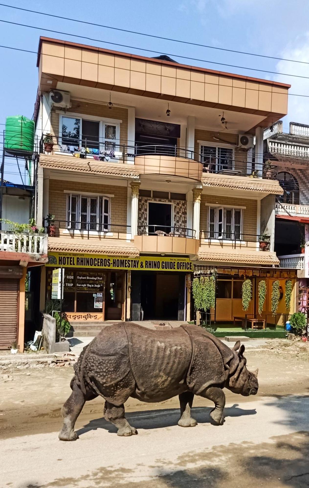 Hotel Rhinoceros-Homestay Sauraha Ngoại thất bức ảnh